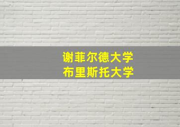 谢菲尔德大学 布里斯托大学